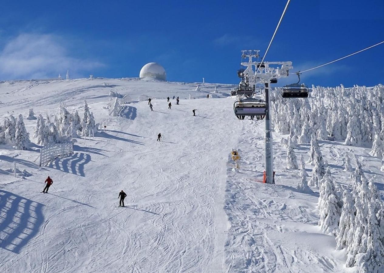 Hotel Olga Dedijer Kopaonik Eksteriør billede