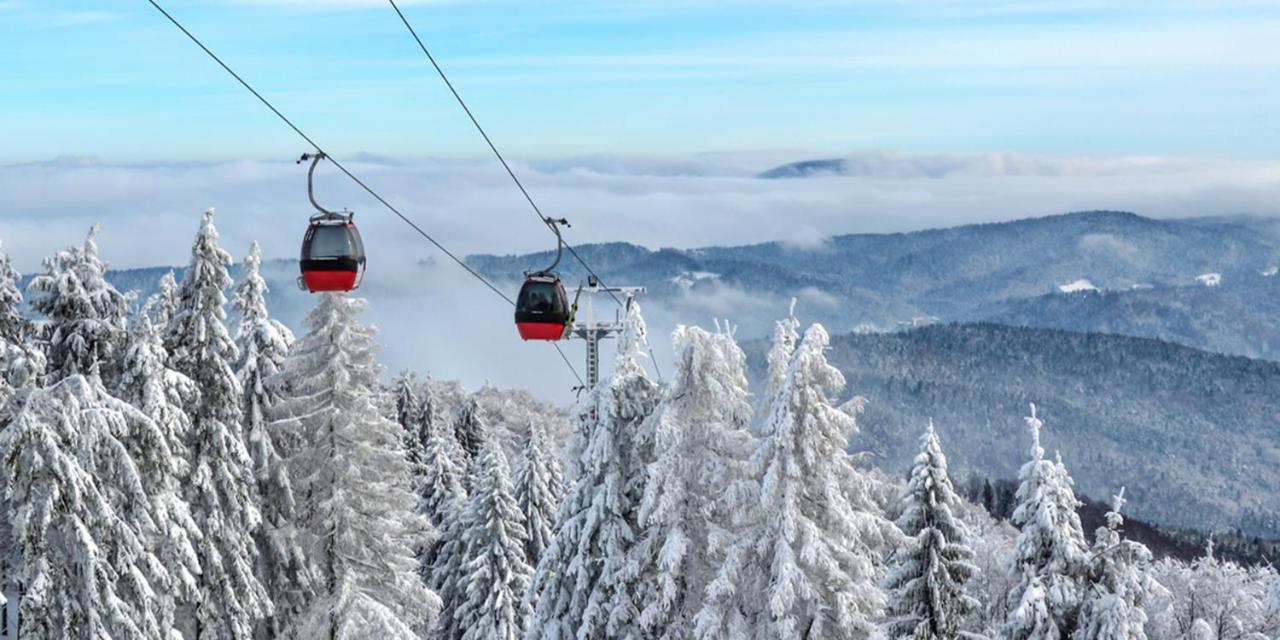 Hotel Olga Dedijer Kopaonik Eksteriør billede